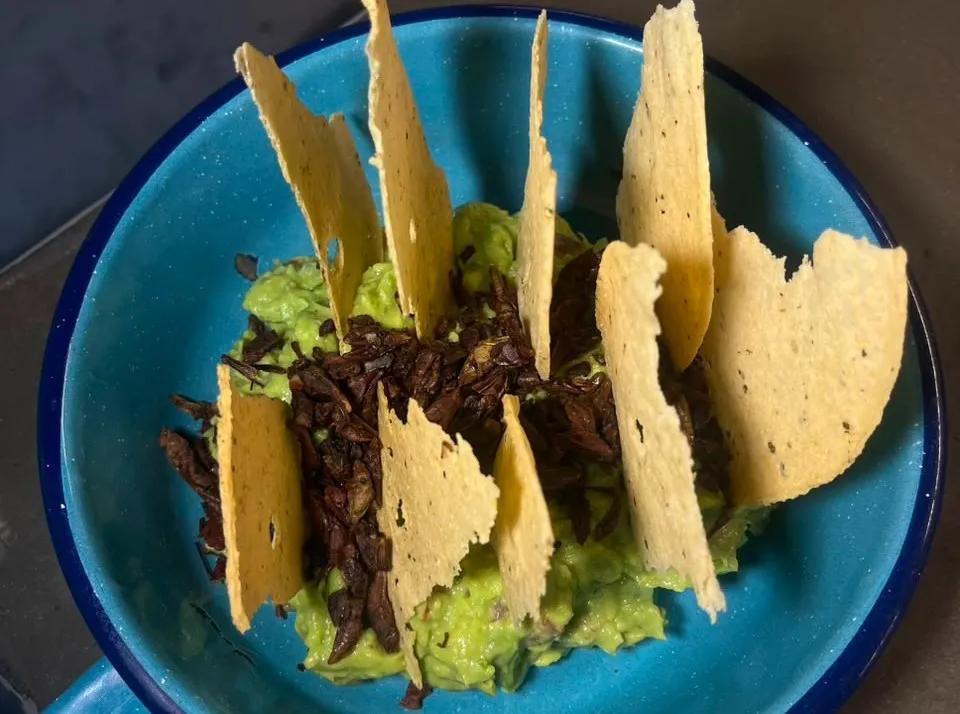 Popular item de BICHI: Guacamole con chapulines